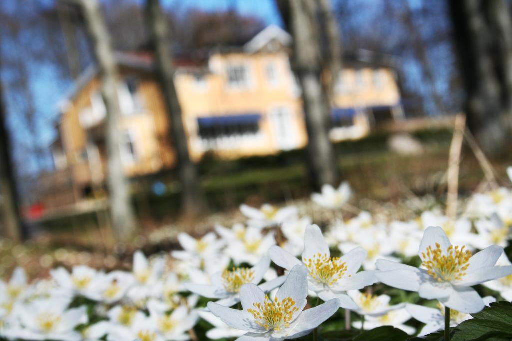 Toftastrand Hotell Växjö Εξωτερικό φωτογραφία